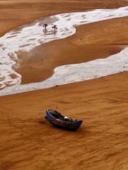 IMG_0654x.JPG