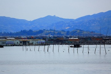 IMG_1106x.JPG
