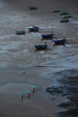 IMG_0978x.JPG