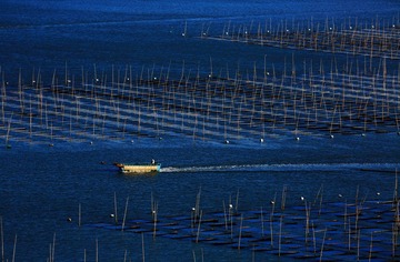IMG_0893x.JPG