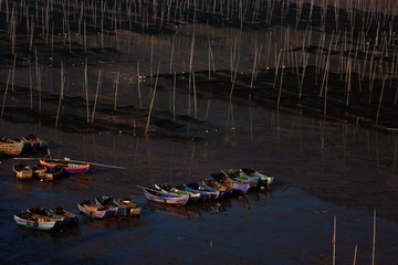 IMG_0722x.JPG