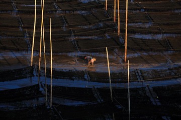 IMG_0702x.JPG