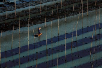IMG_0173x.JPG