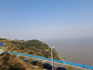 1000016704