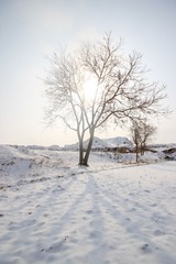 20140209-IMG_2028