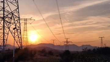 1000036309