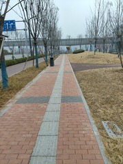 1000177962