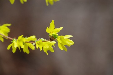 1000170157