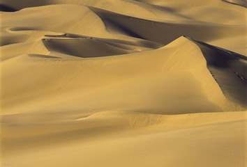 100-11.jpg