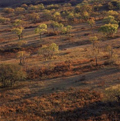 100-7.jpg