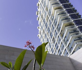 L1005922.jpg