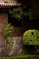 75EEA70C-68B6-4EC7-8800-3DB53BD8F403/L0/001