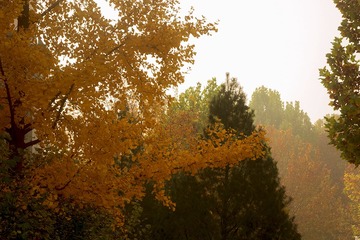 4769D9FB-F06F-4F0D-B0B9-42BDC708FD32/L0/001