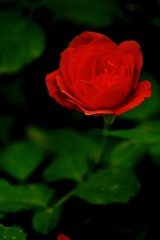 4198B842-E025-48AC-A955-A7C14D25ADB2/L0/001