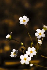 C52EA2E6-504D-4B78-B540-10F0779A2984/L0/001