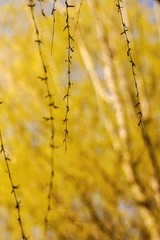 2C571590-8540-4455-9E9A-2630D360D982/L0/001