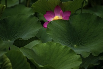 B00F3BFA-CE08-49A8-A36D-3159511B2759/L0/001