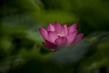 254CB00C-819B-4285-AE0E-D88A3DB3A3EC/L0/001