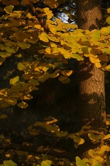 FD0584B7-CB55-4837-A137-9250654C74A4/L0/001