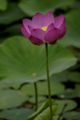 A21D5138-255C-4AA2-8E5B-0AE0668FDB93/L0/001