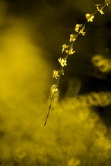 992E73CA-BD74-49DB-8982-B26BB69424B6/L0/001