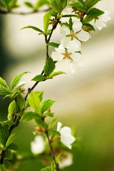 911581BF-A93E-4BDD-8A60-897A290A0D78/L0/001