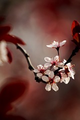 89711E0A-4B7A-4DA7-A1D3-6A07C4E895B2/L0/001