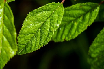 C2153DE9-6839-4C1C-B3C5-B03C023E2414/L0/001