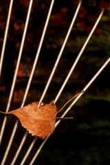 D764B11B-FE6F-4CB2-BC52-3115F606DFCF/L0/001