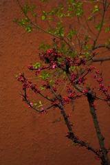 0F49F15F-DA0D-46A2-A188-55EEC7805AFC/L0/001