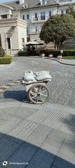 1000024347