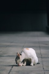 001