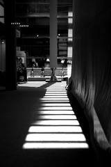 IMG_5899.jpg