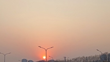 1000135062