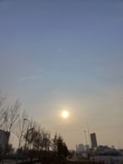 1000137385