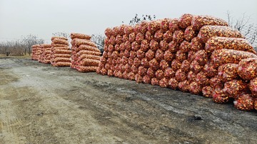 1000058664