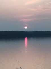 1000040350