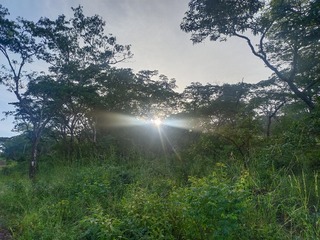 1000038259