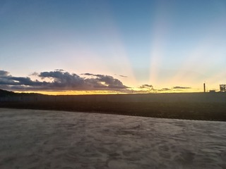 1000022463