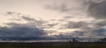 1000039634