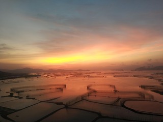 1000026411