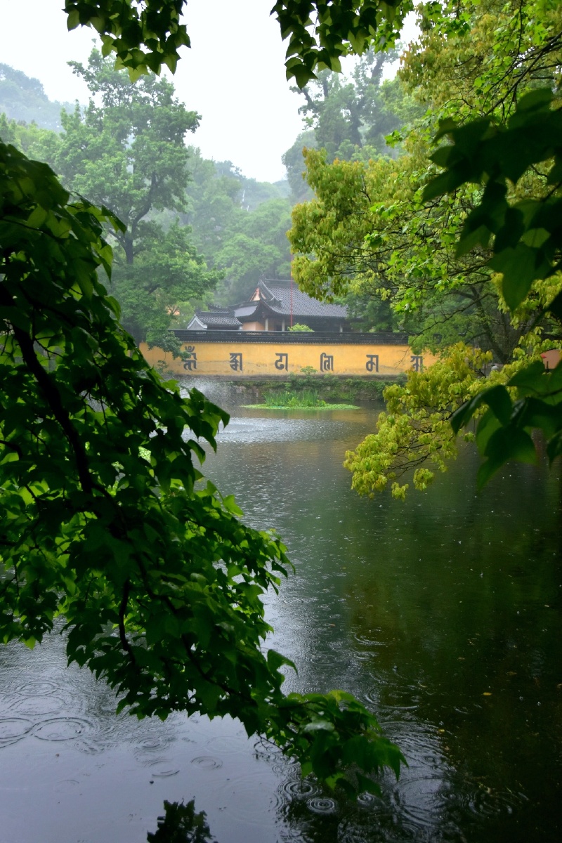 雨刚刚停下来,氤氲的空气轻抚山间,如同大地的呼吸.