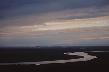 1000030083