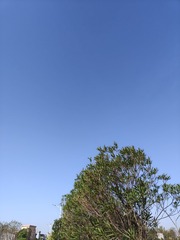 1000005106
