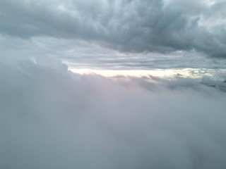 1000091421