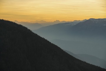 1000081651