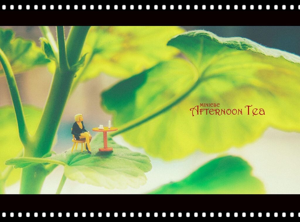 afternoon tea<br />