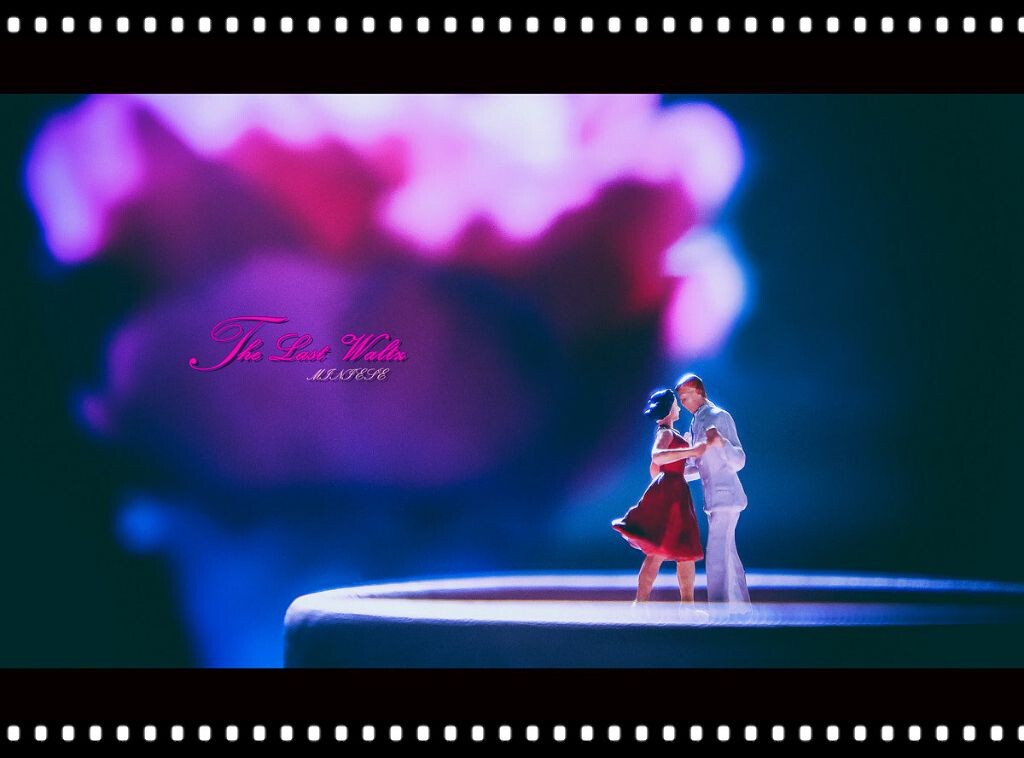 THE LAST WALTZ<br />