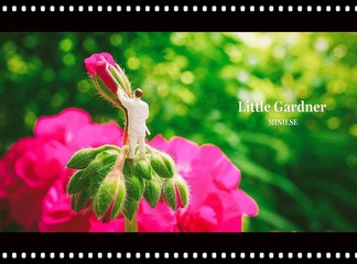 wei-little gardner_副本.jpg