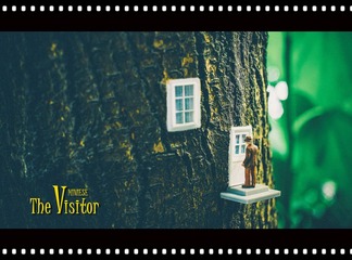 wei-the visitor_副本.jpg